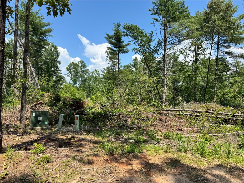113 Sweetshrub Court Sunset, SC 29685 - Photo 15 of 15