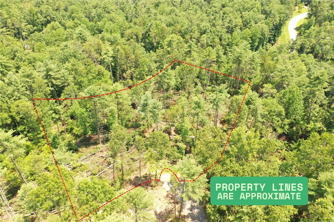 113 Sweetshrub Court Sunset, SC 29685 - Photo 2 of 15 5 acres