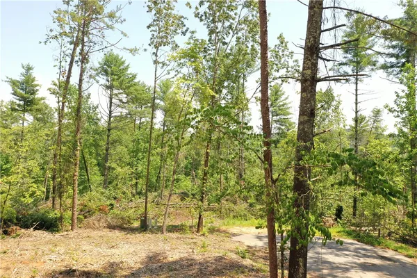 $199,000 | 113 Sweetshrub Court, Sunset, SC 29685