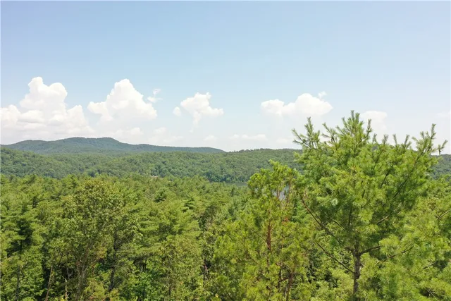 $199,000 | 113 Sweetshrub Court, Sunset, SC 29685