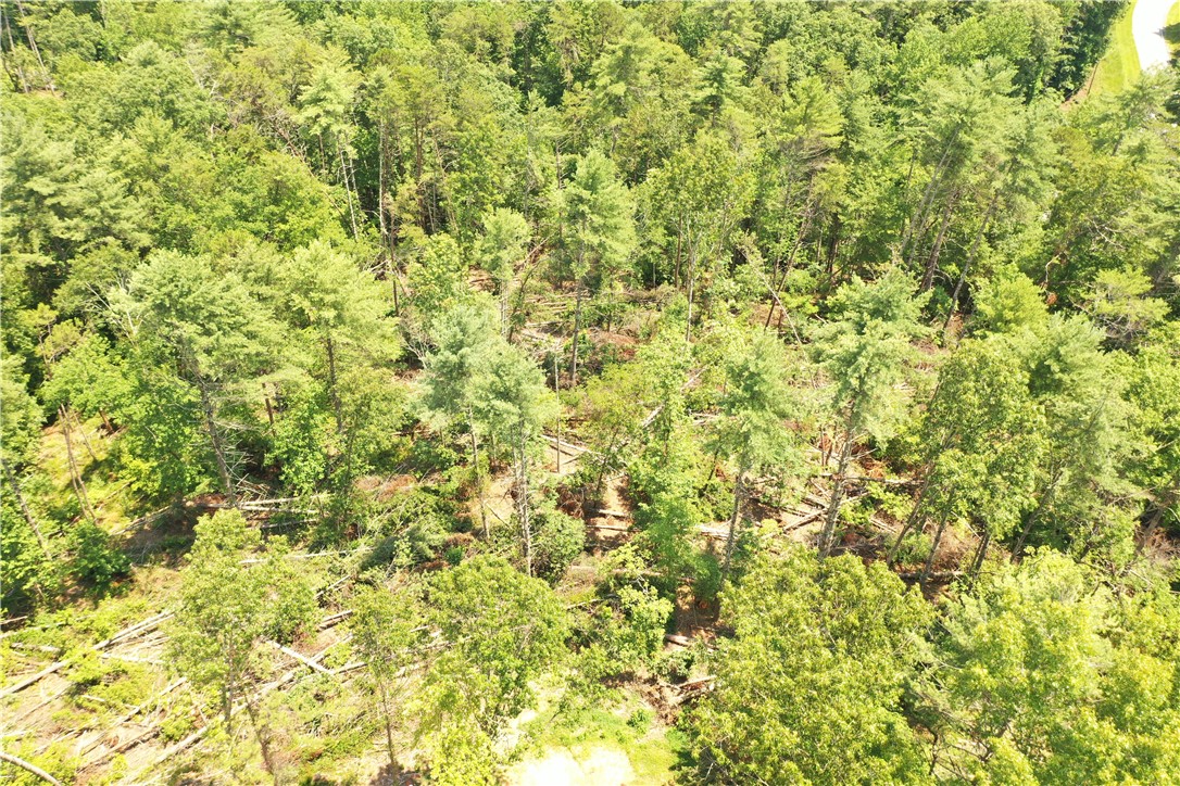 113 Sweetshrub Court Sunset, SC 29685 - Photo 5 of 15