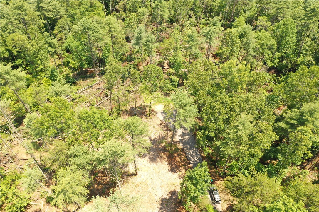 113 Sweetshrub Court Sunset, SC 29685 - Photo 6 of 15