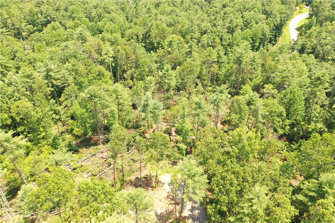 113 Sweetshrub Court Sunset, SC 29685 - Photo 7 of 15