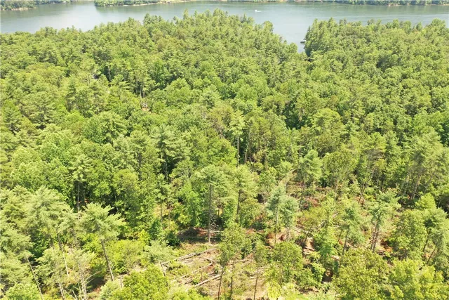 $199,000 | 113 Sweetshrub Court, Sunset, SC 29685