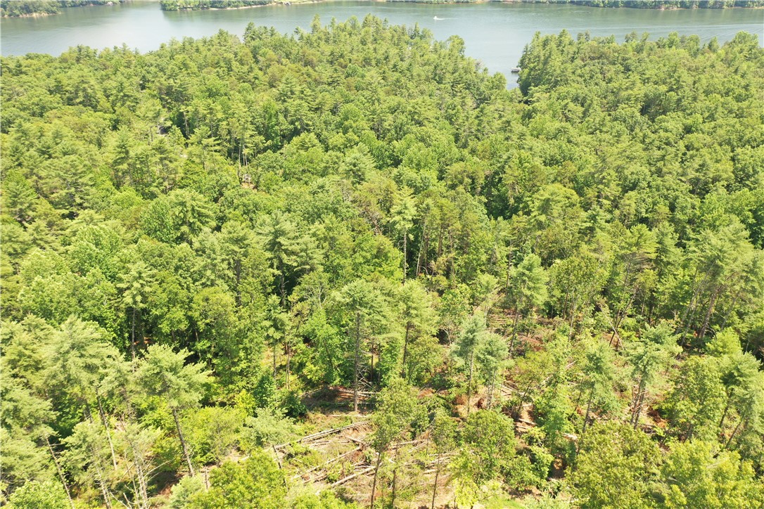 113 Sweetshrub Court Sunset, SC 29685 - Photo 8 of 15