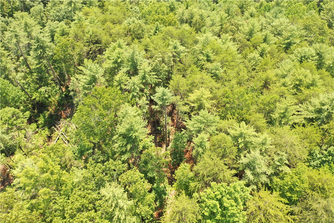 113 Sweetshrub Court Sunset, SC 29685 - Photo 10 of 15