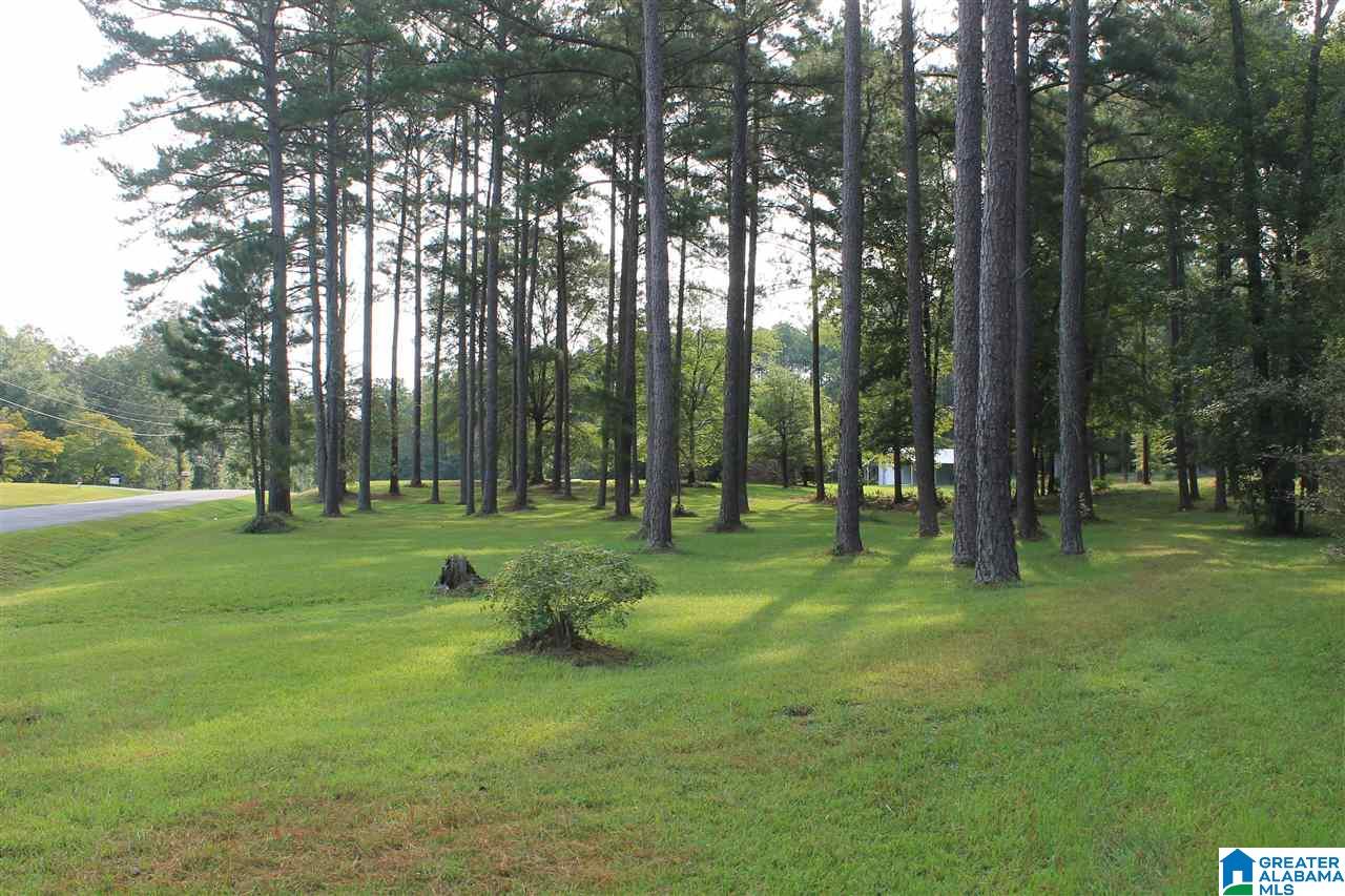 412 Lovejoy Road Ashville, AL 35953 - Photo 17 of 23