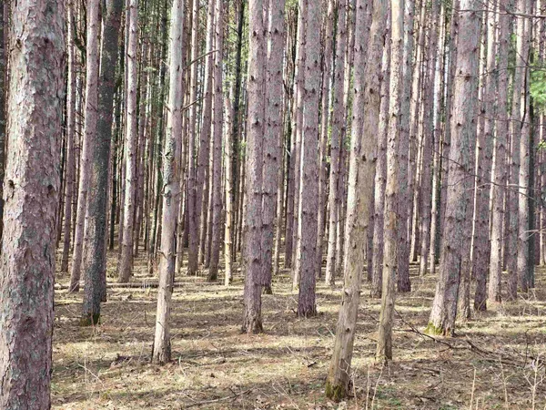 $335,000 | 834 East North Lake Street, Hancock, WI 54943