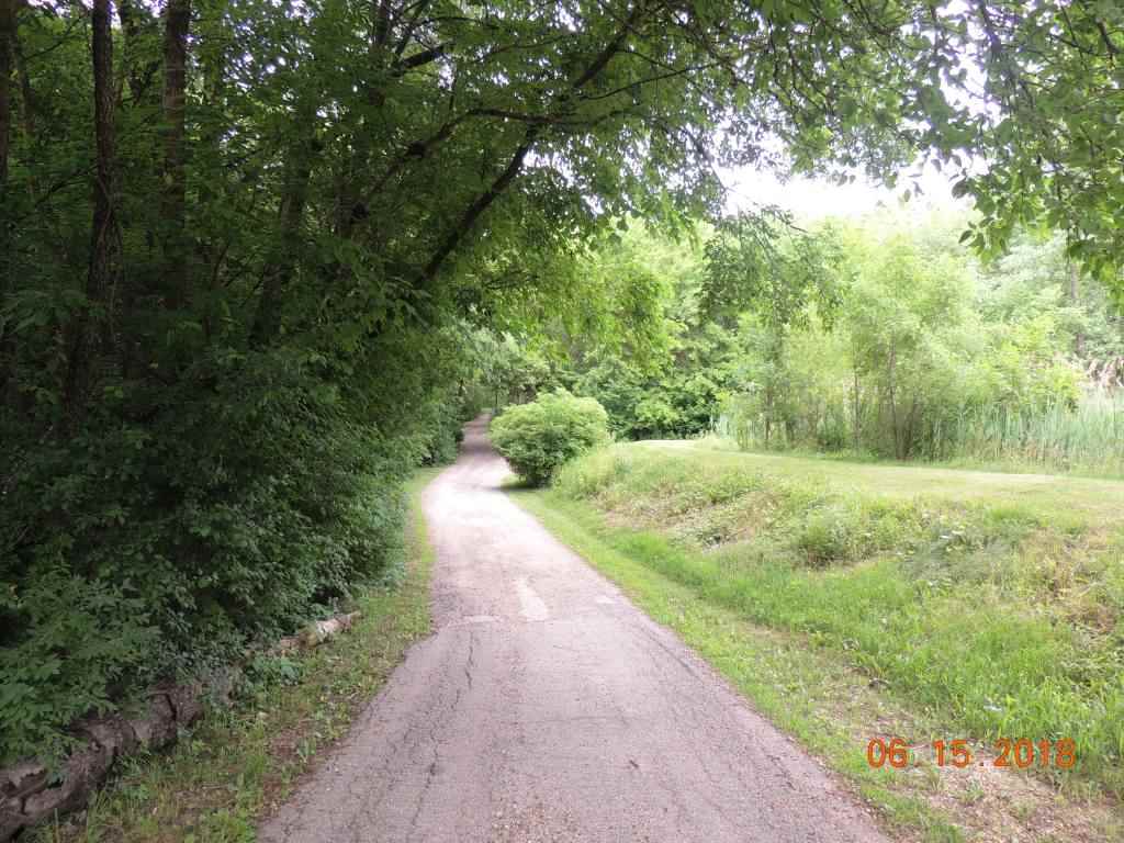 12294 County Line Road Roscoe, IL 61073 - Photo 23 of 25 a view of a yard with plants