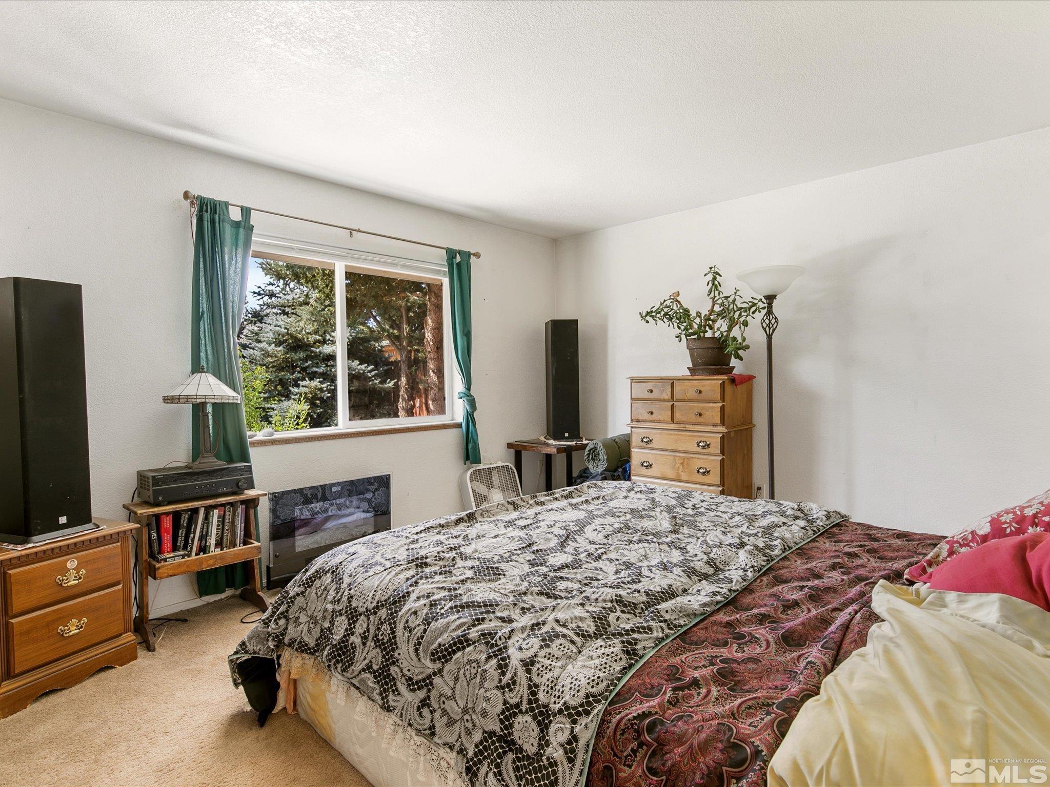 4491 Morgan Mill Road Carson City, NV 89701 - Photo 10 of 40 Photo 10