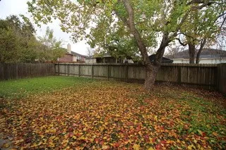 $1,650 | 13215 Lake Breeze Lane, Willis, TX 77318