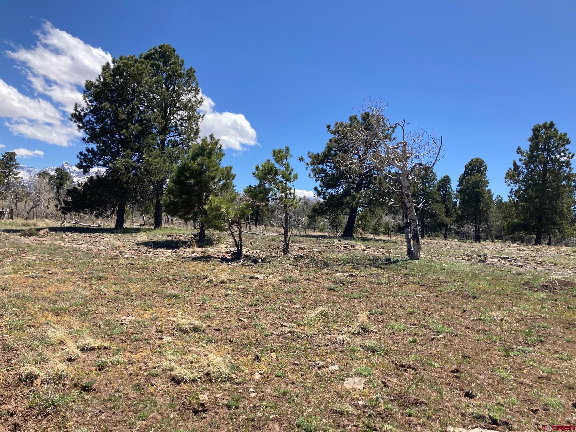 Lot 14 62x Road Placerville, CO 81430 - Photo 9 of 11