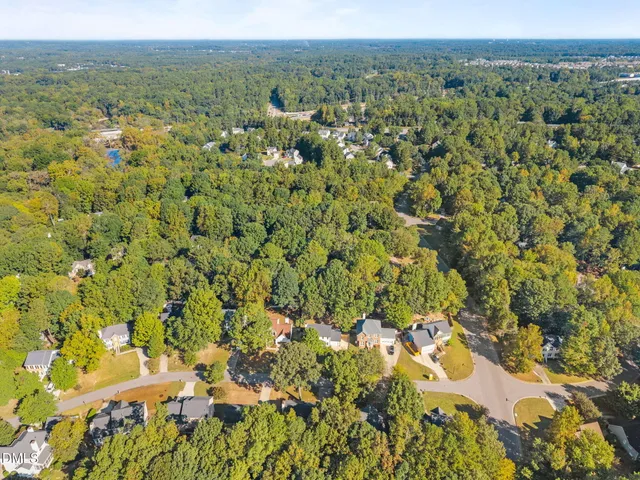 a view of a yard with plants
