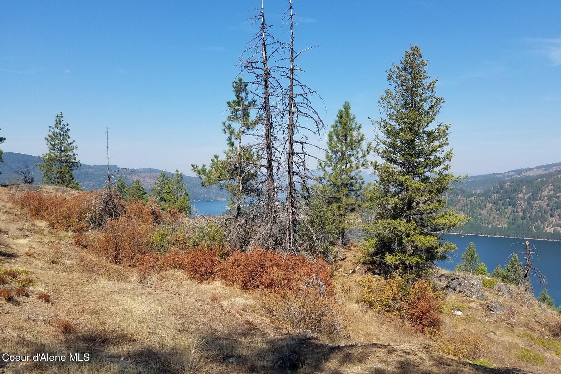 0 East Dunromin Road Priest River, ID 83856 - Photo 13 of 23 85862487