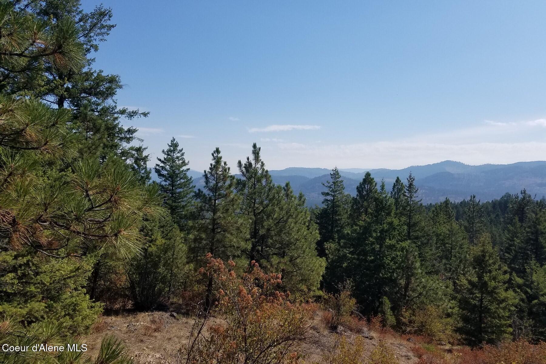 0 East Dunromin Road Priest River, ID 83856 - Photo 17 of 23 85862526