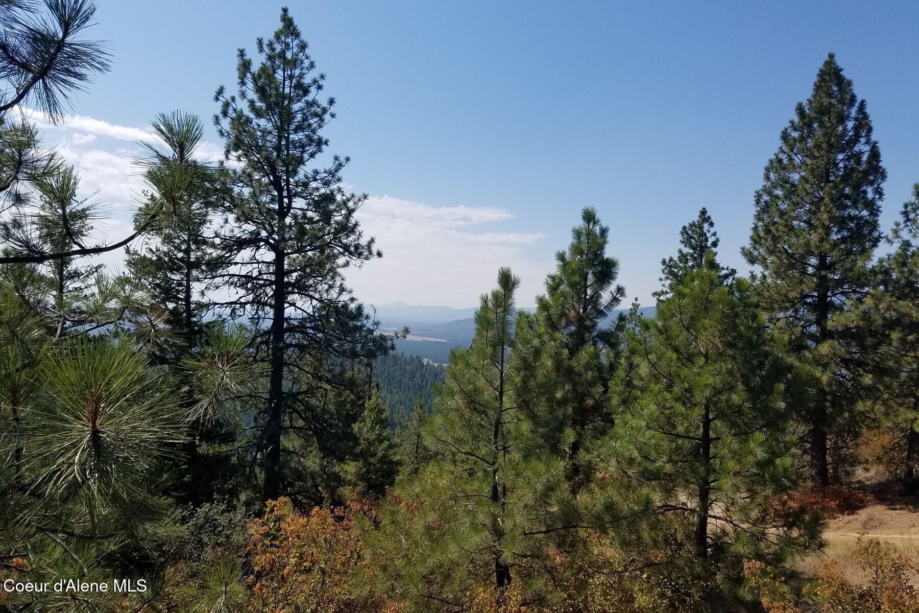 0 East Dunromin Road Priest River, ID 83856 - Photo 18 of 23 85862527