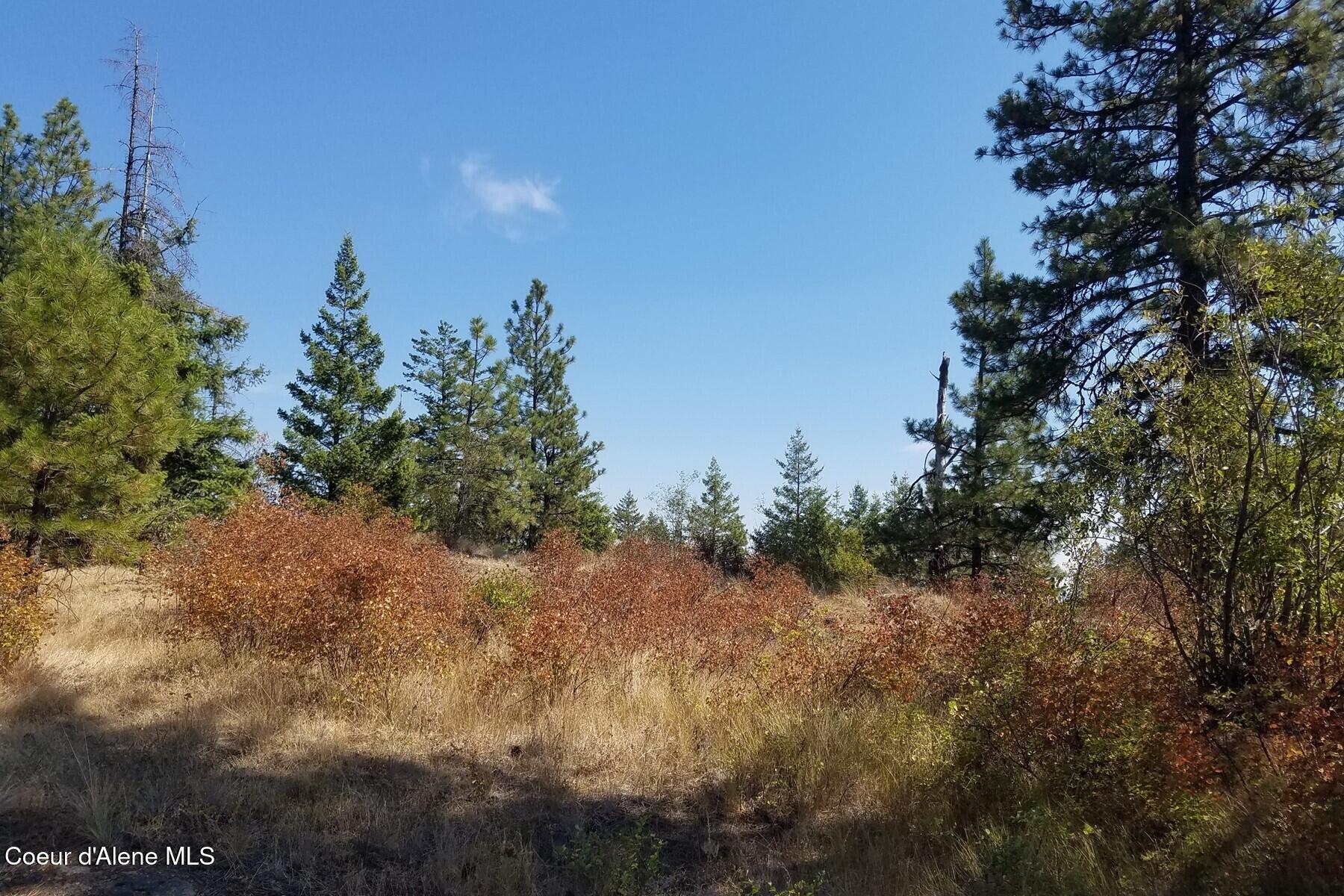 0 East Dunromin Road Priest River, ID 83856 - Photo 19 of 23 85862572