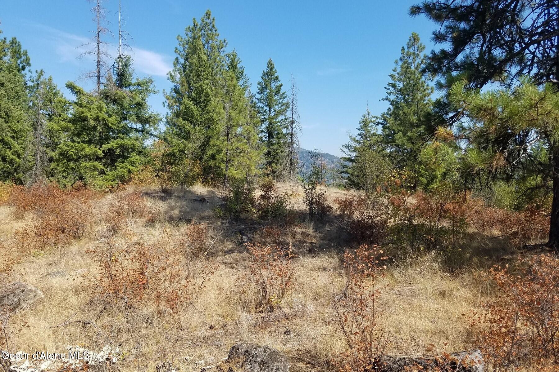 0 East Dunromin Road Priest River, ID 83856 - Photo 6 of 23 85862540