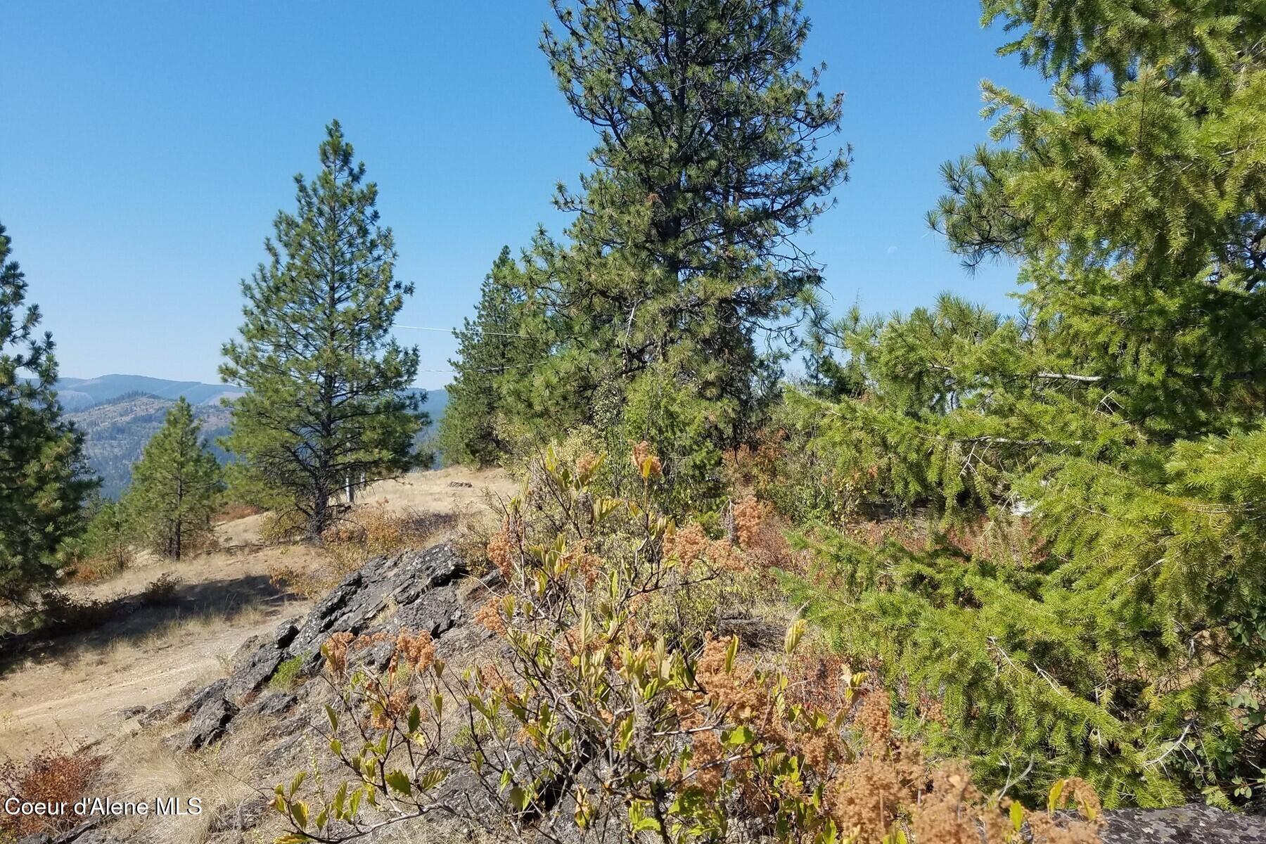 0 East Dunromin Road Priest River, ID 83856 - Photo 7 of 23 85862533
