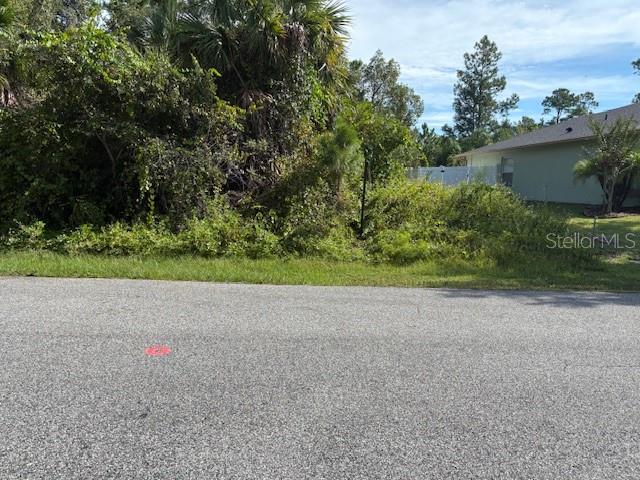 98 Sloganeer Trail Palm Coast, FL 32164 - Photo 1 of 7 a backyard of a house with a yard and plants