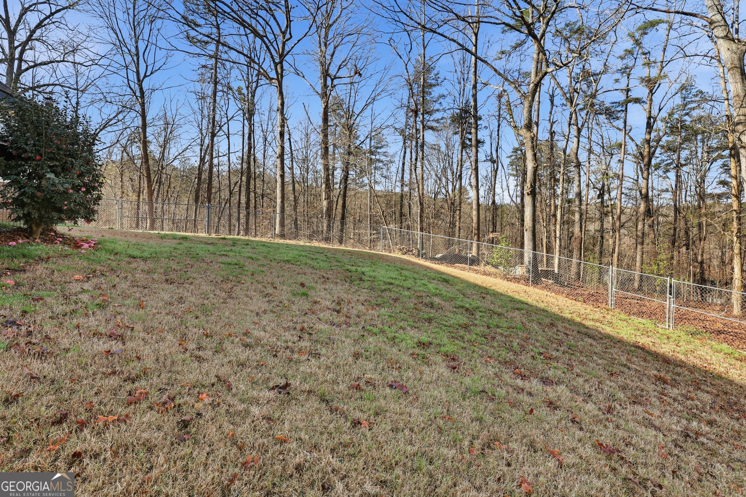 81 McMurray Road Toccoa, GA 30577 - Photo 12 of 50 a view of a yard with trees in front of it