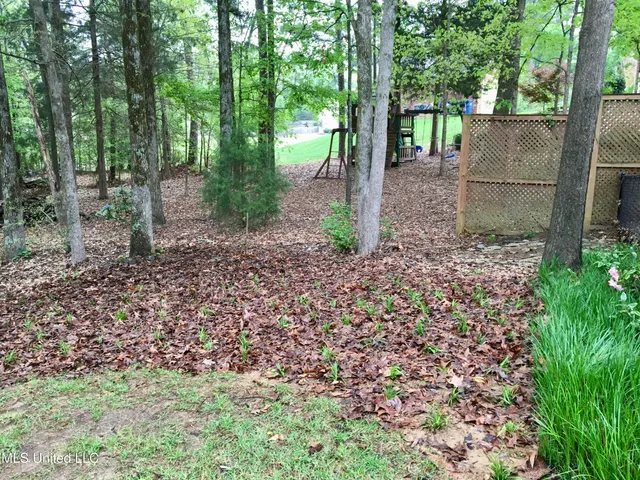 $456,900 | 7684 Rigmoore Point North, Olive Branch, MS 38654