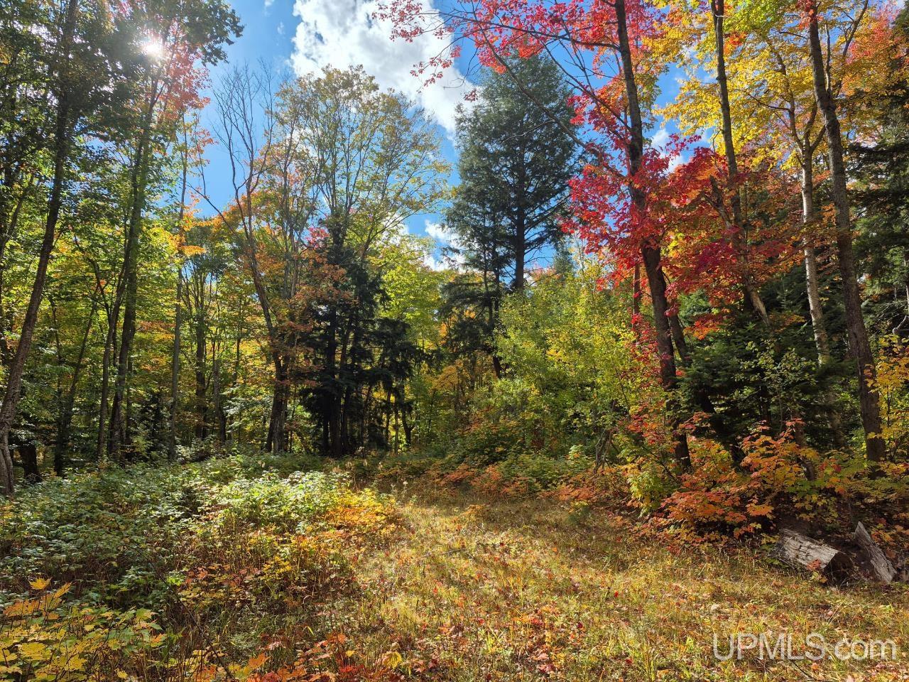 510 Rd Ishpeming Mi 49849 Road Ishpeming, MI 49849 - Photo 9 of 25 Gallery Image 9