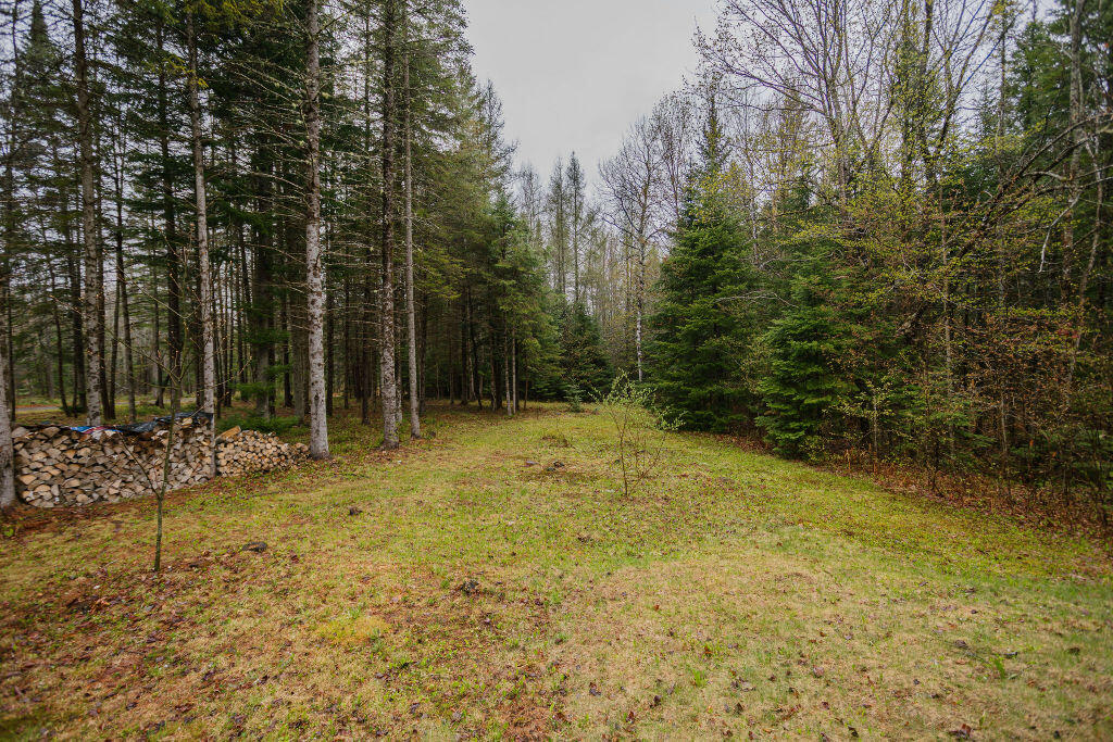 249 Anson Valley Road New Vineyard, ME 04956 - Photo 36 of 37 taylor-kaminsky-photo-32