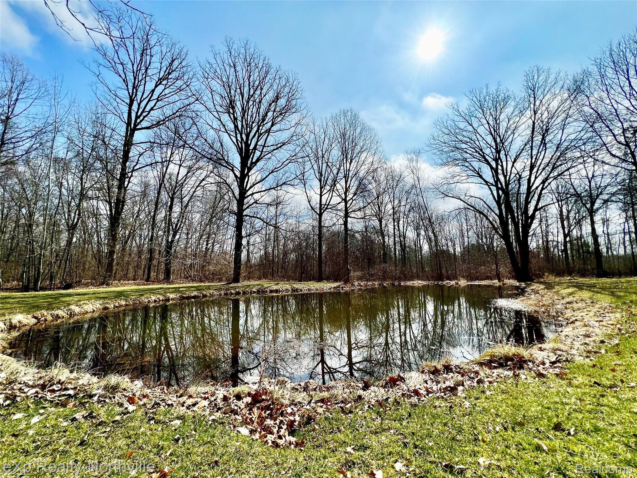 6573 Pinckney Road Pinckney, MI 48169 - Photo 17 of 20 Pond