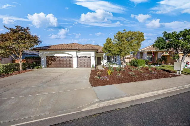 a kitchen with a stove and potted plant