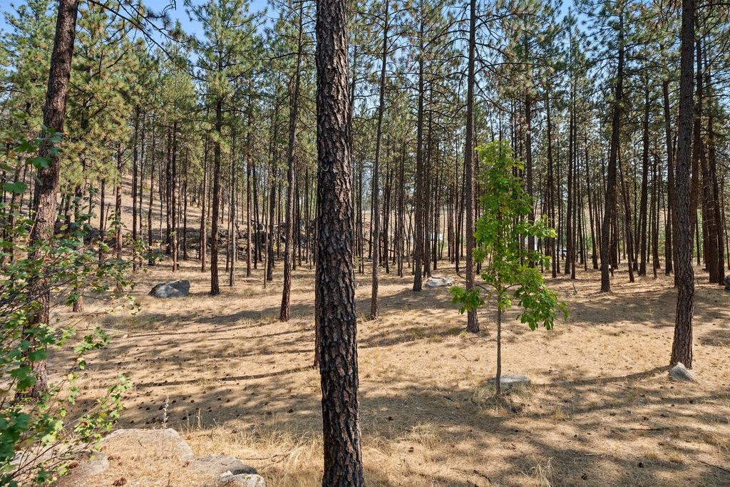 12620 North Nine Mile Road Nine Mile Falls, WA 99026 - Photo 40 of 50