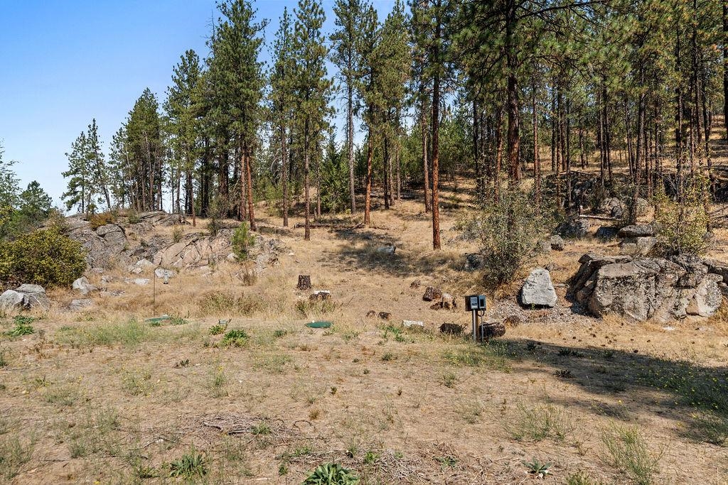 12620 North Nine Mile Road Nine Mile Falls, WA 99026 - Photo 42 of 50