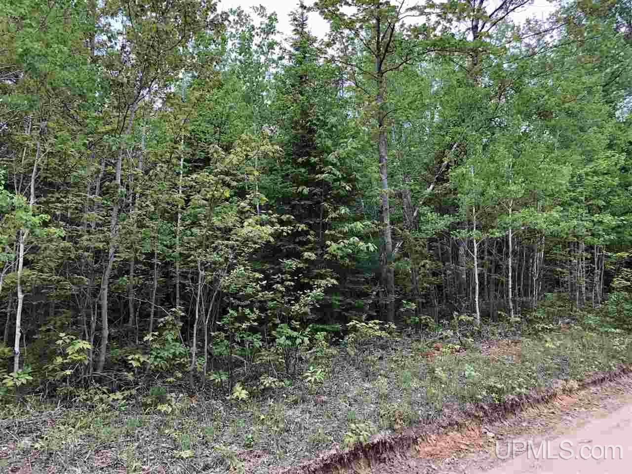 Tbd River Road, Unit PARCEL 3 Gulliver, MI 49854 - Photo 24 of 42