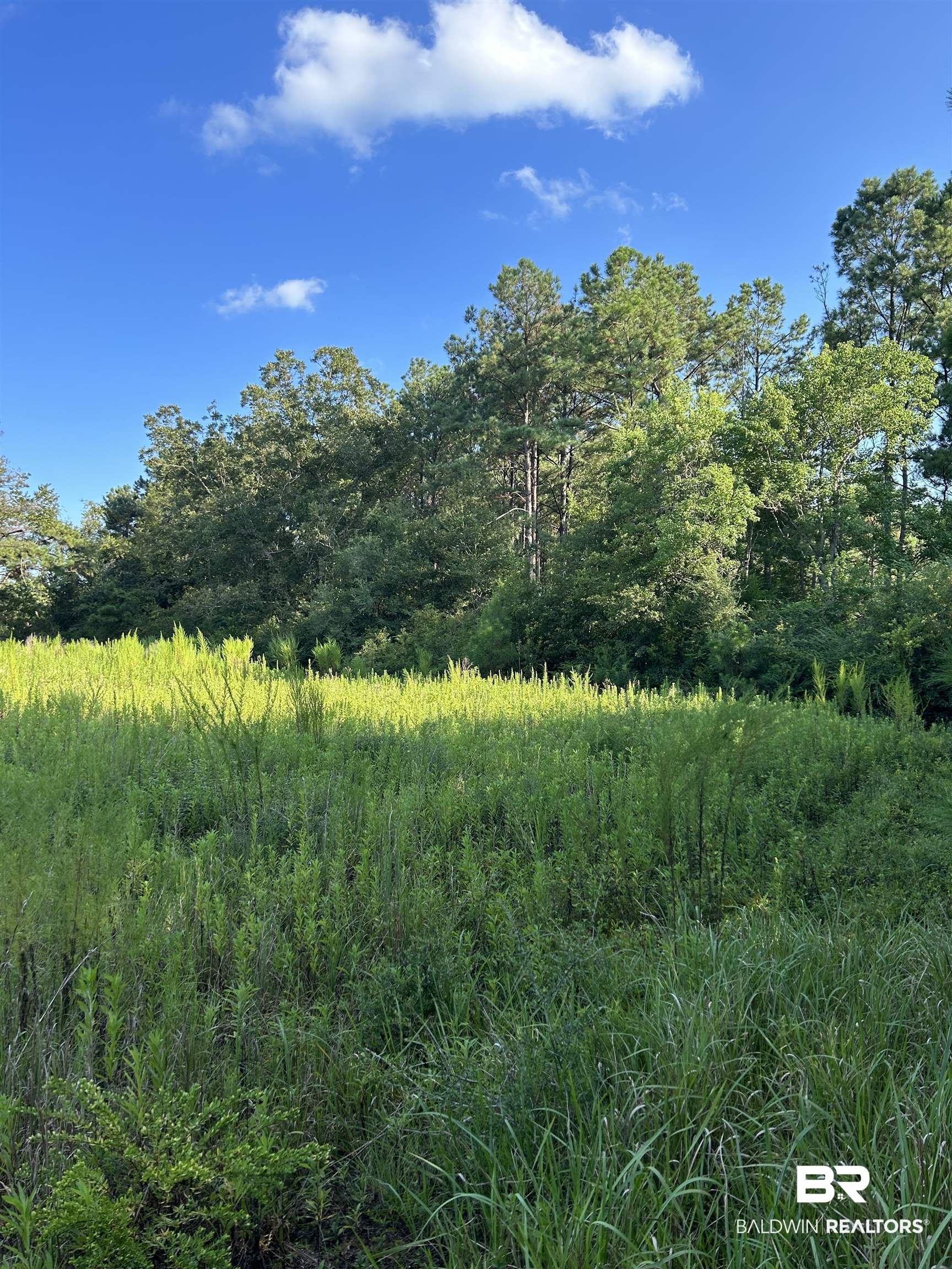 0 Quinley Road Bay Minette, AL 36507 - Photo 1 of 6