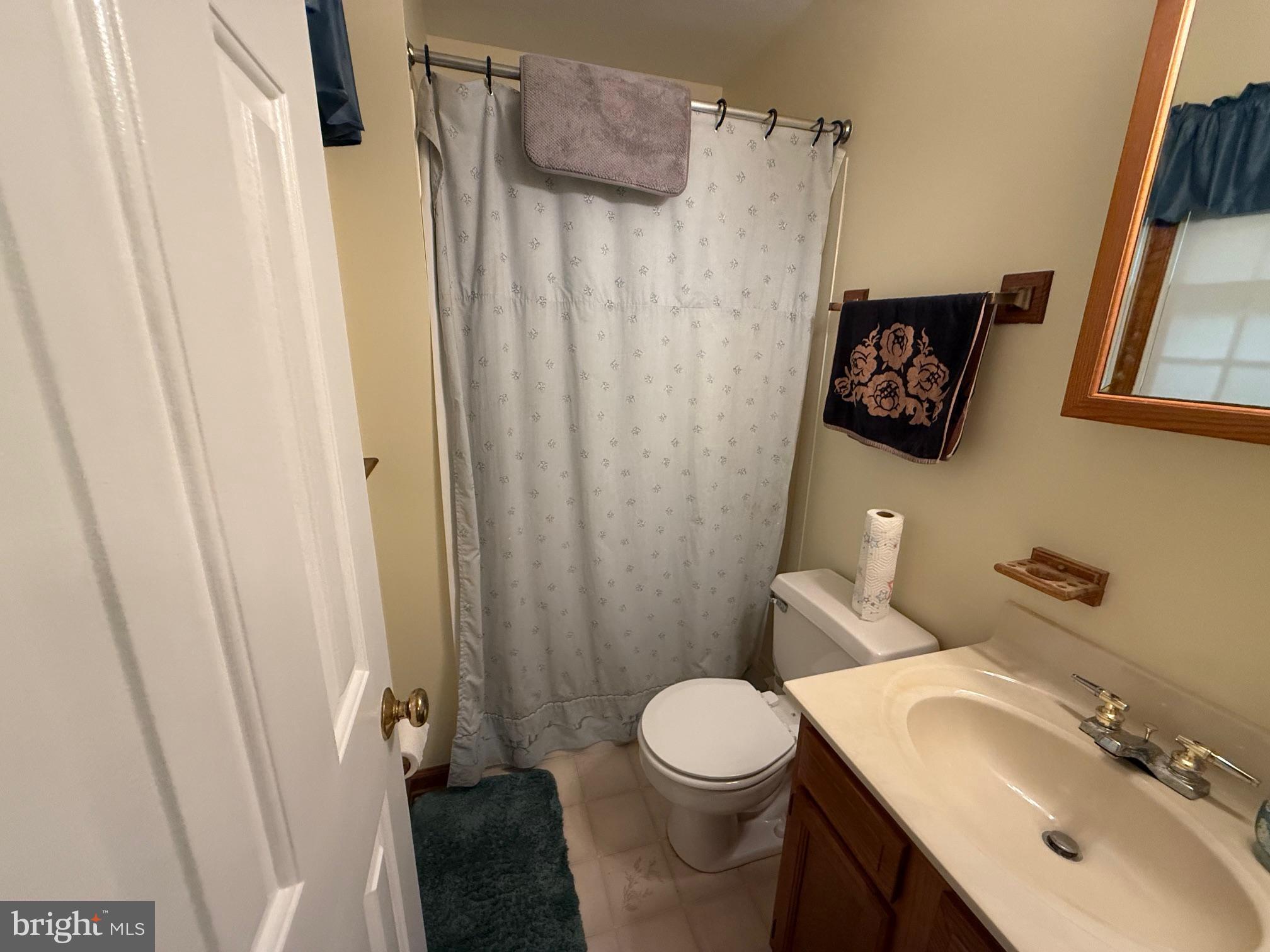 7206 Old Dickersons Road Orange, VA 22960 - Photo 16 of 32 a bathroom with a sink and a toilet