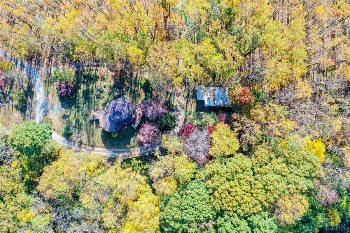 1052 Sardis Road Amherst, VA 24521 - Photo 35 of 46 a view of a garden with plants and large trees