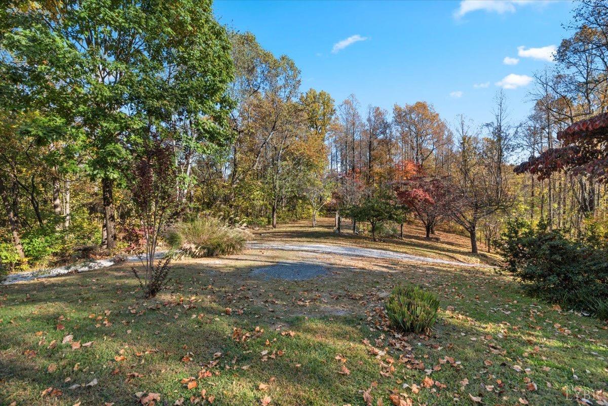 1052 Sardis Road Amherst, VA 24521 - Photo 39 of 46 a view of dirt yard with a large tree