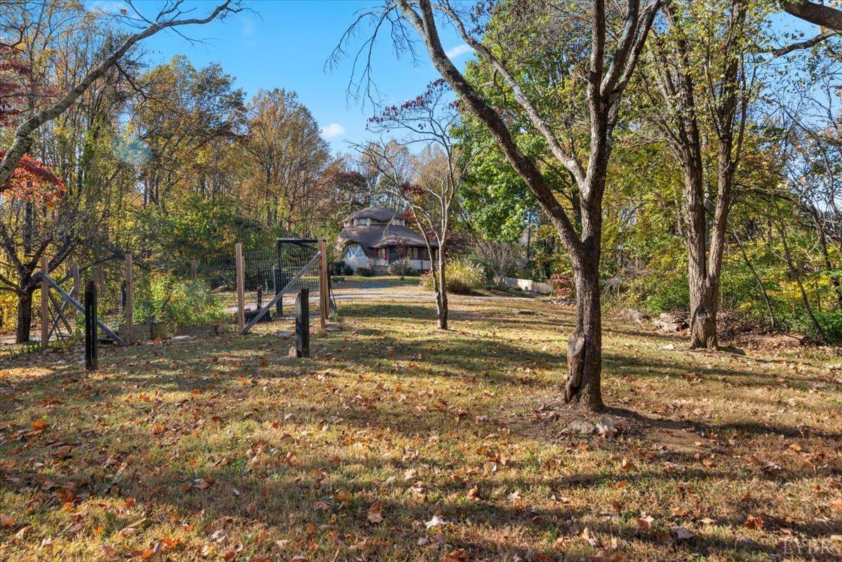 1052 Sardis Road Amherst, VA 24521 - Photo 41 of 46 a view of outdoor space with trees