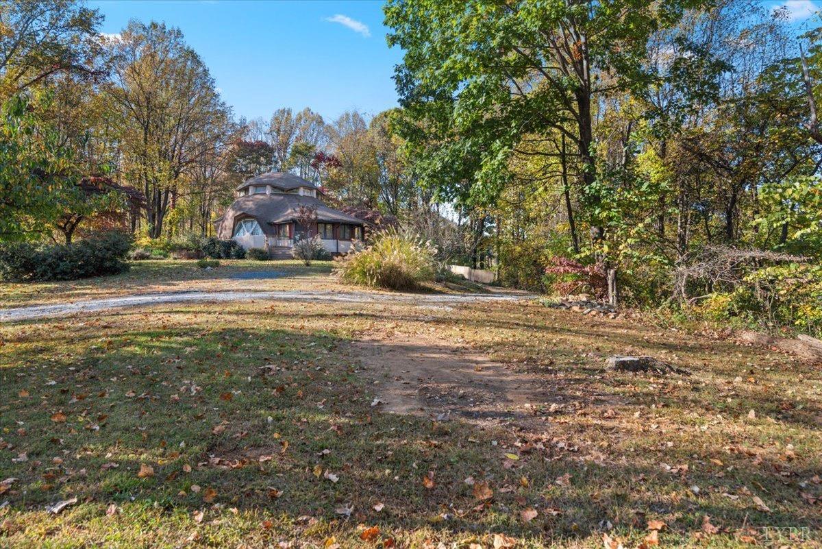 1052 Sardis Road Amherst, VA 24521 - Photo 43 of 46 a view of a yard with plants and trees