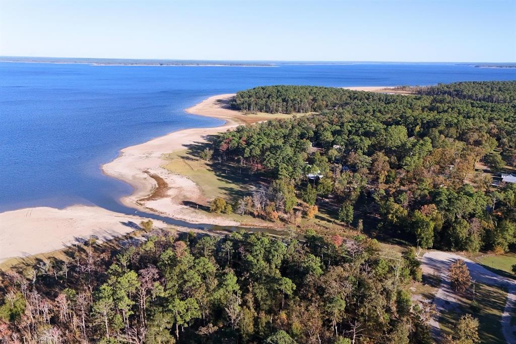 1493 Mollywood Road Zavalla, TX 75980 - Photo 17 of 22 a view of a room with a forest