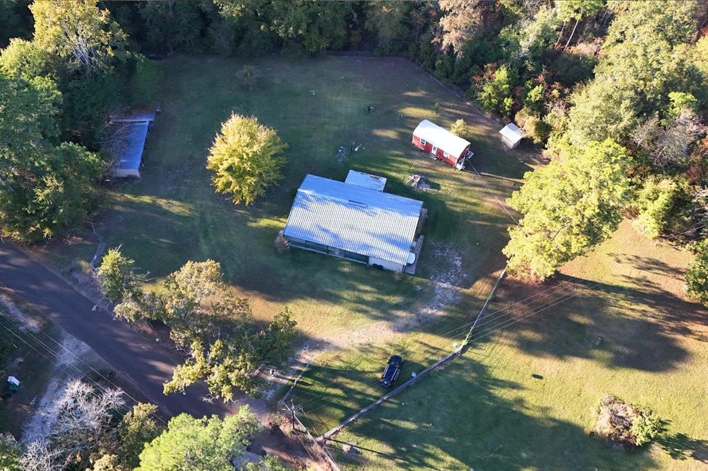 1493 Mollywood Road Zavalla, TX 75980 - Photo 19 of 22 a view of a flower in a yard