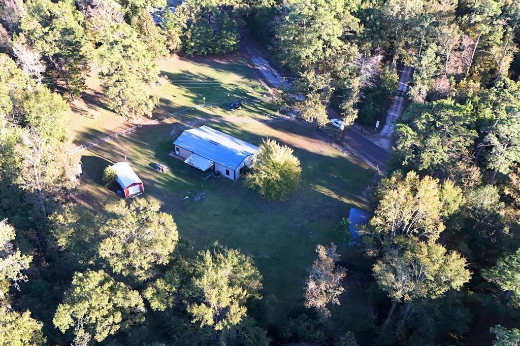 1493 Mollywood Road Zavalla, TX 75980 - Photo 21 of 22 a view of a tree in a yard