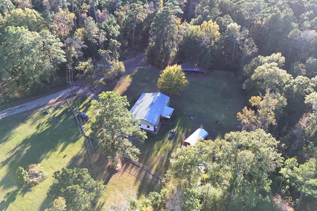 1493 Mollywood Road Zavalla, TX 75980 - Photo 22 of 22 a view of a flower