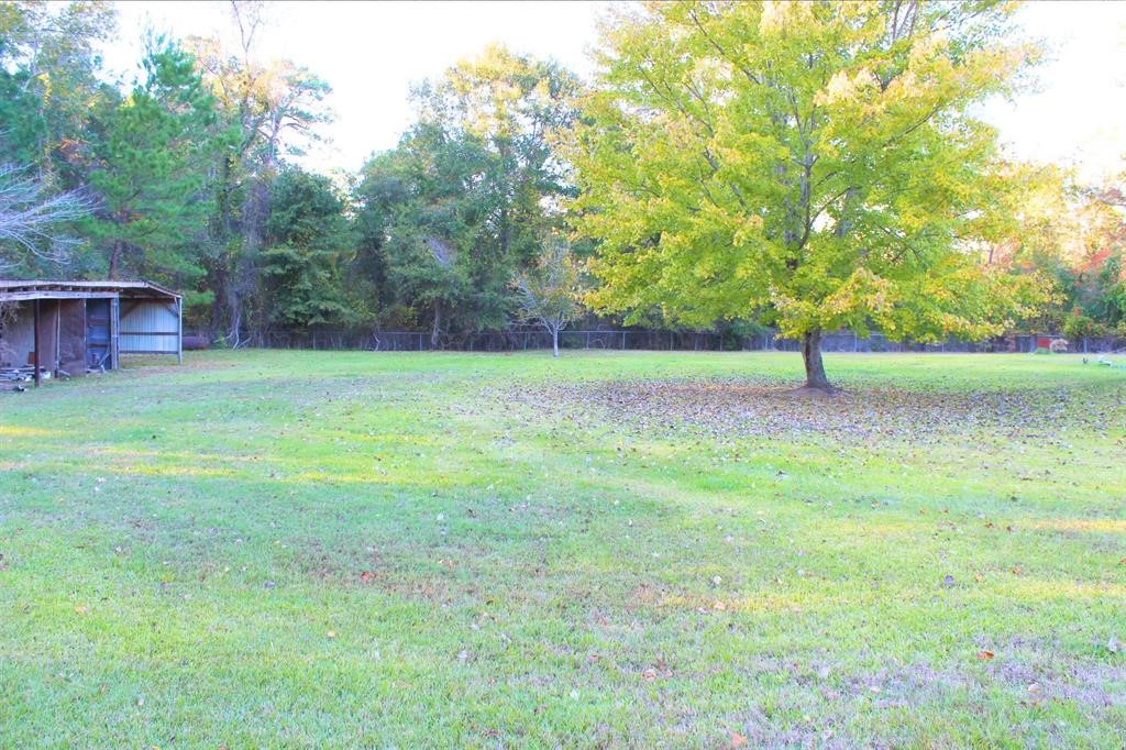 1493 Mollywood Road Zavalla, TX 75980 - Photo 5 of 22 a view of outdoor space with deck and yard