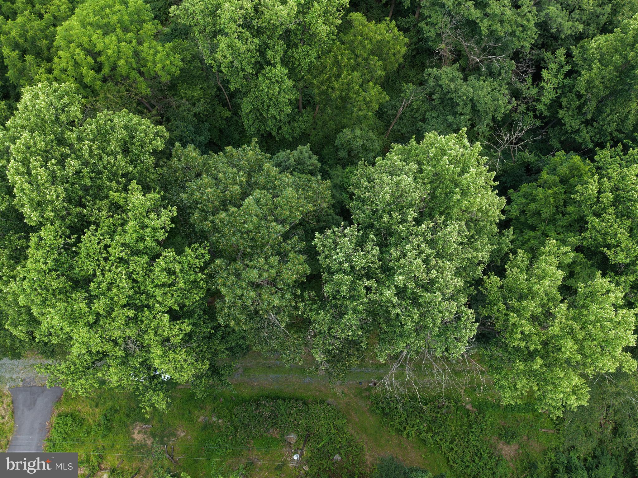 3 52 /- Acres Oak Ridge Trail Fairfield, PA 17320 - Photo 4 of 13