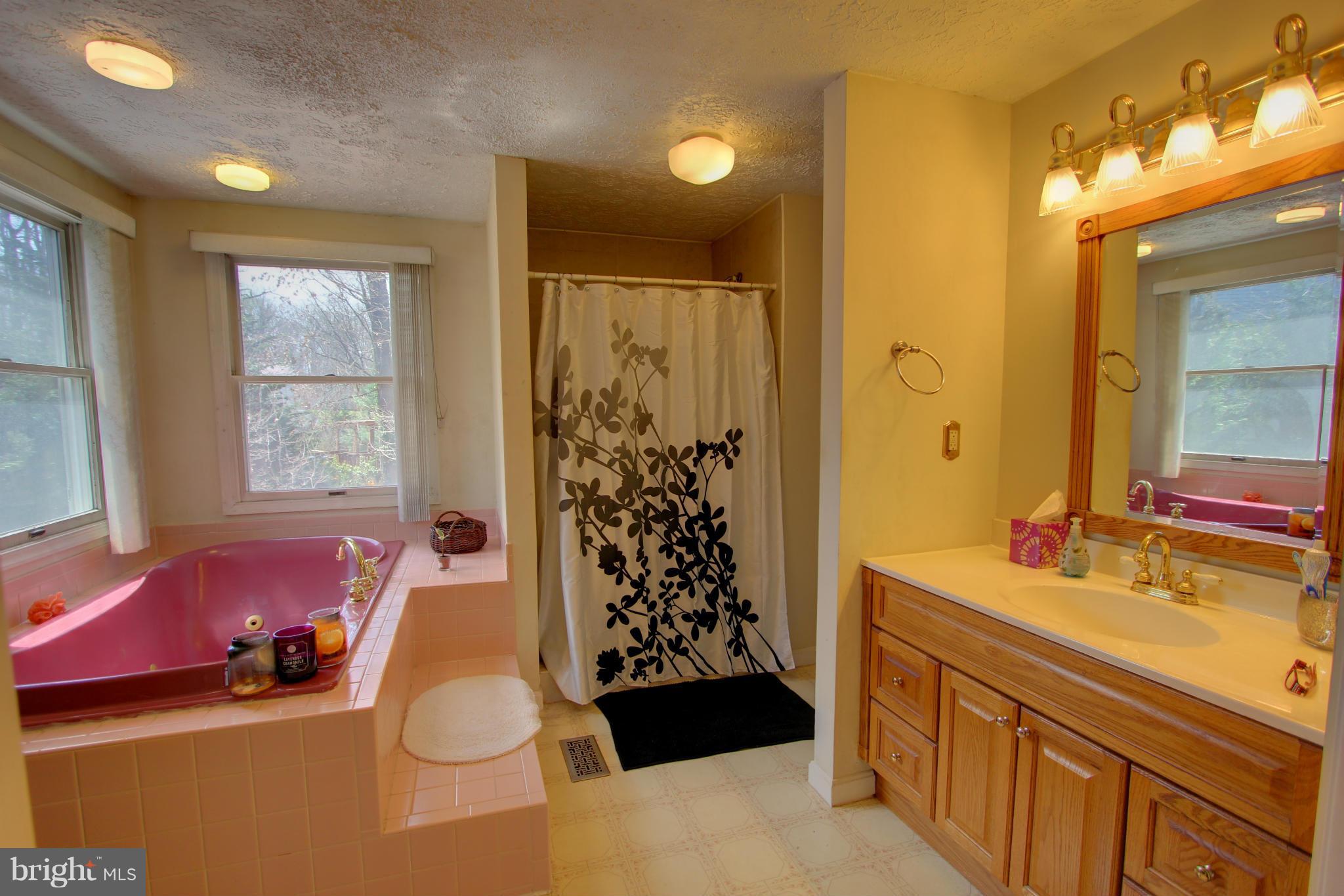 7640 Kindler Road Laurel, MD 20723 - Photo 20 of 30 Bath (Master)
