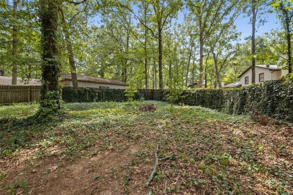 7519 Conkle Road Jonesboro, GA 30236 - Photo 32 of 35 a backyard of a house with lots of green space