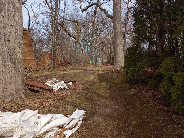 a view of a backyard with large trees