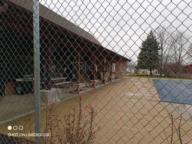 a view of a backyard