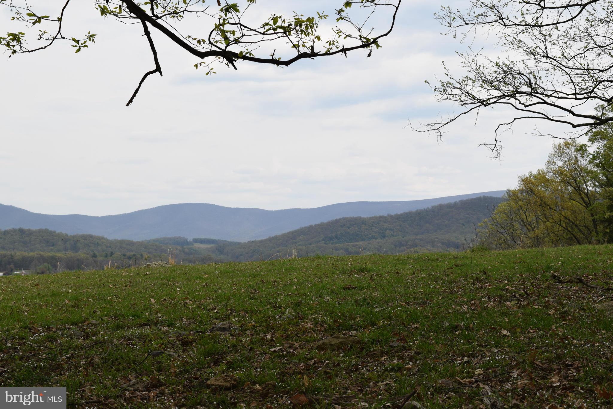 0 Catron Ridge Road Bentonville, VA 22610 - Photo 11 of 30 View